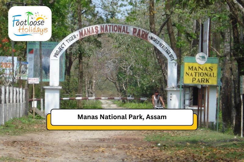 manas-national-park-north-east-tour-packages