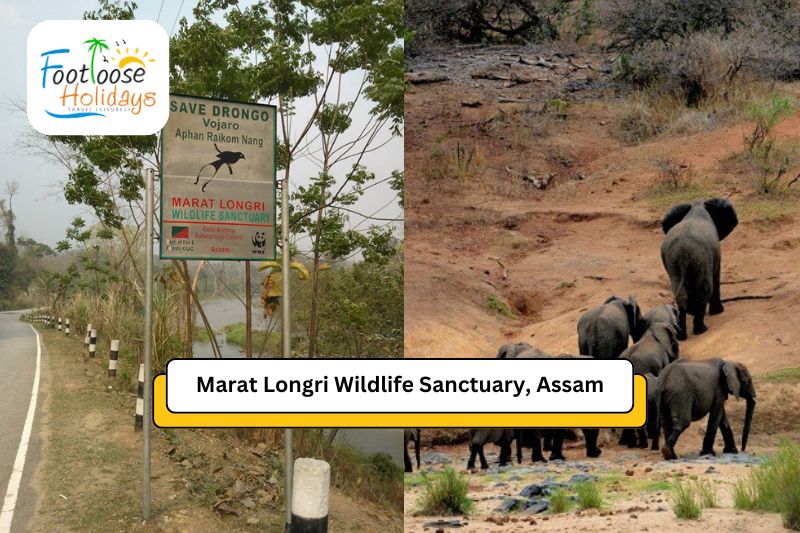 marat-longri-wildlife-sanctuary-assam-north-east