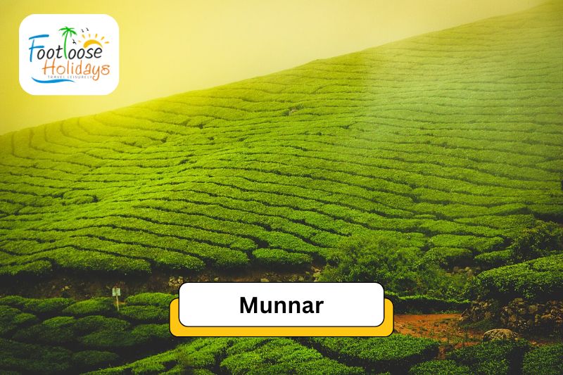 munnar-best-places-to-visit-in-india-in-june