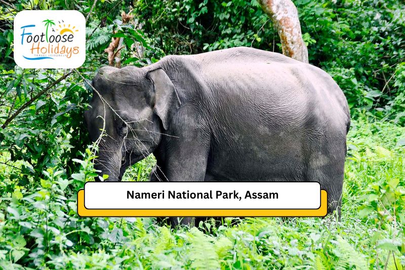 nameri-national-park-asam
