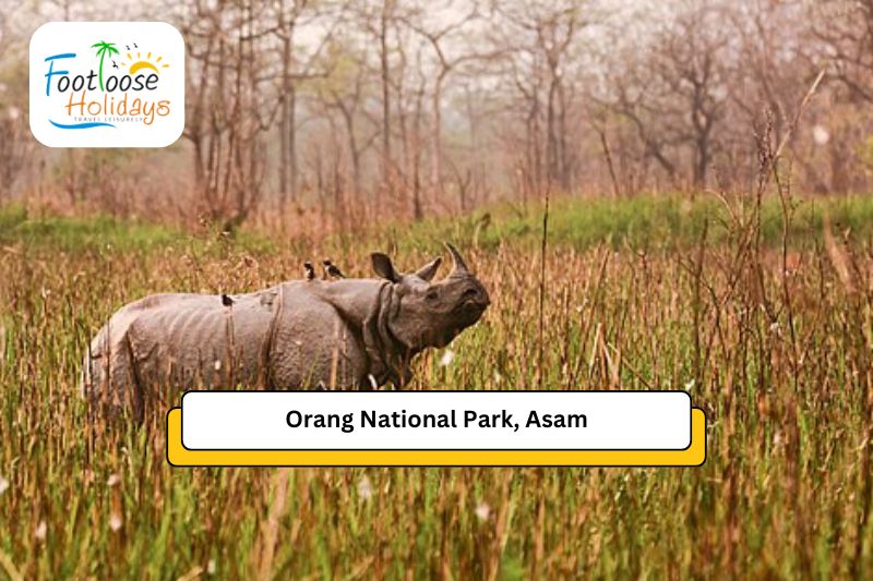 orang-asam-north-east-tour-packages