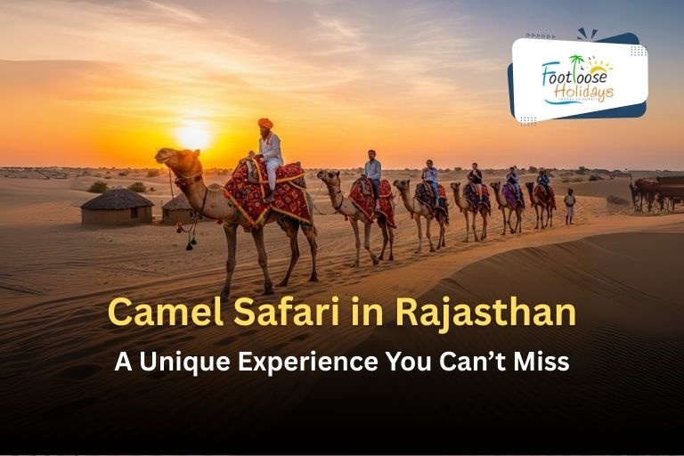 Camel Safari in Rajasthan: A Unique Experience You Can’t Miss