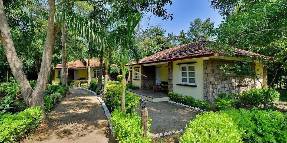 Bandhavgarh Bandhavgarh