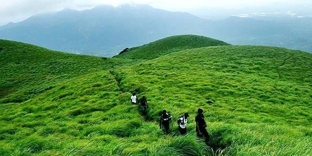 Wayanad