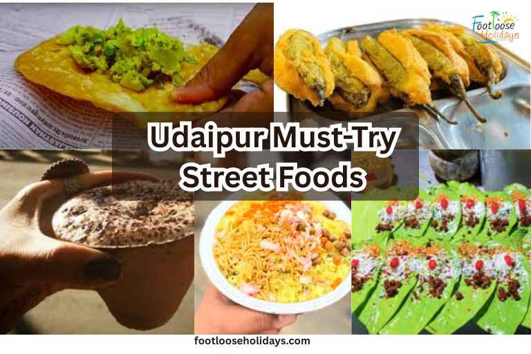 Famous Street Food You Must Try in Udaipur