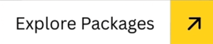 Exclusive holiday packages for India and international destinations